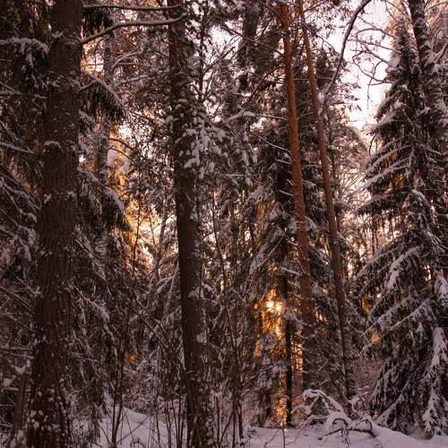 Photo #10133060