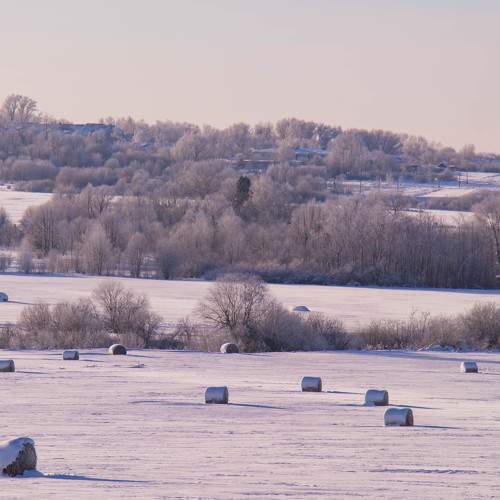 Photo #10133063