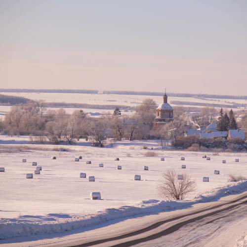 Photo #10133254