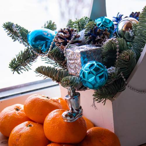 Photo #10133256
