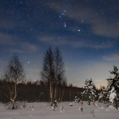 Photo #10133391