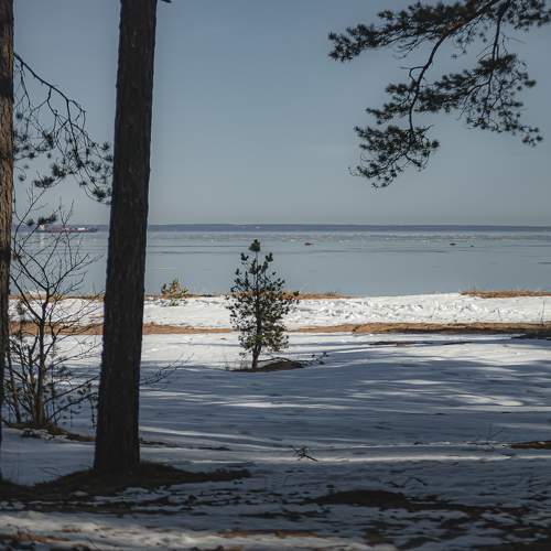 Photo #10133538