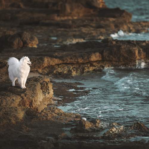 Photo #10133800
