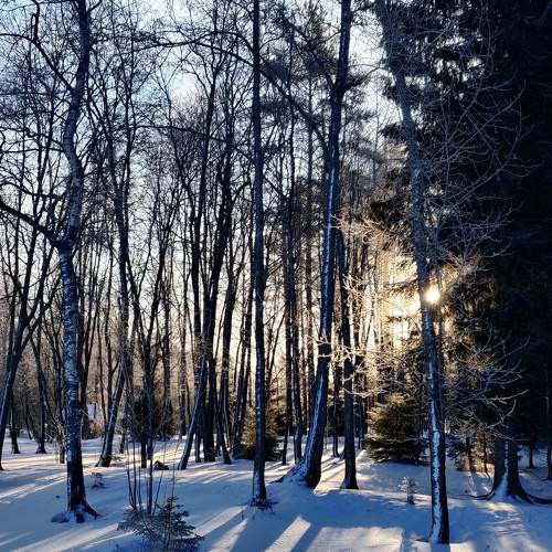 Photo #10133871