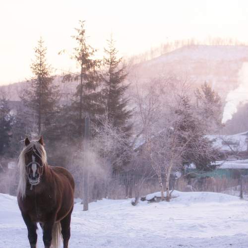 Photo #10133968