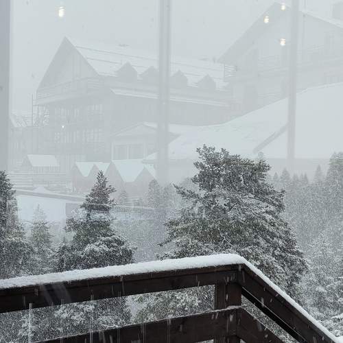 Photo #10134627