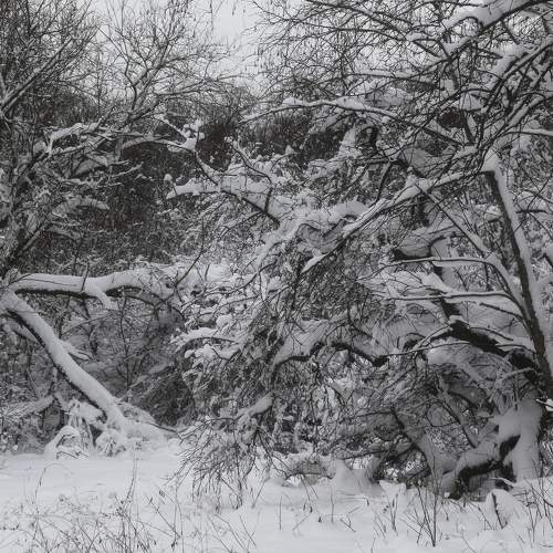 Photo #10134812