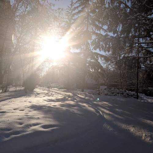 Photo #10134937