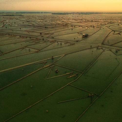 Photo #10134970