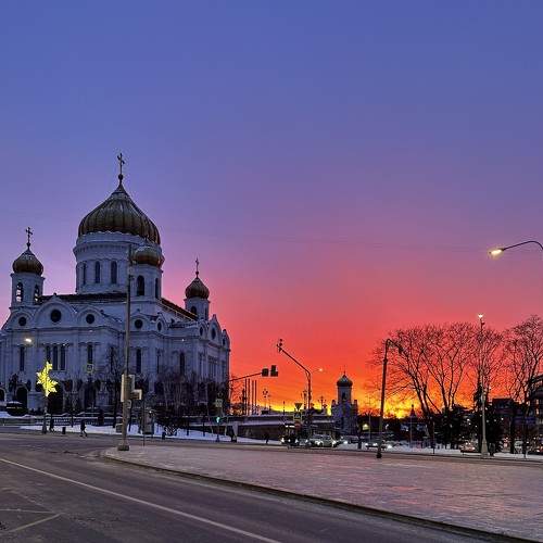 Photo #10134978