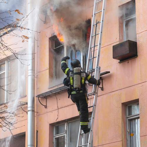Photo #10134997