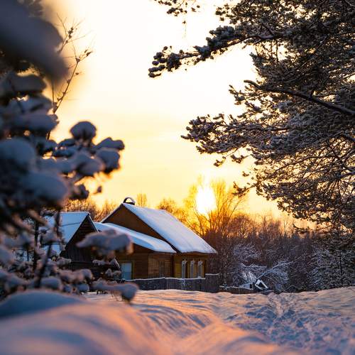 Photo #10135029