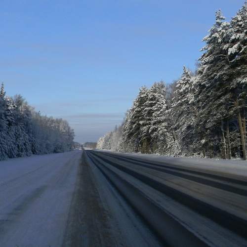 Photo #10135036