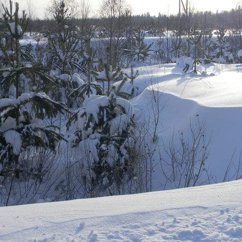 Photo #10135052