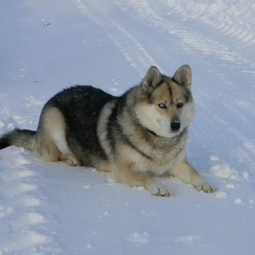 Photo #10135426