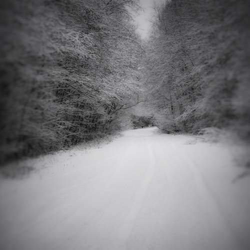 Photo #10135495