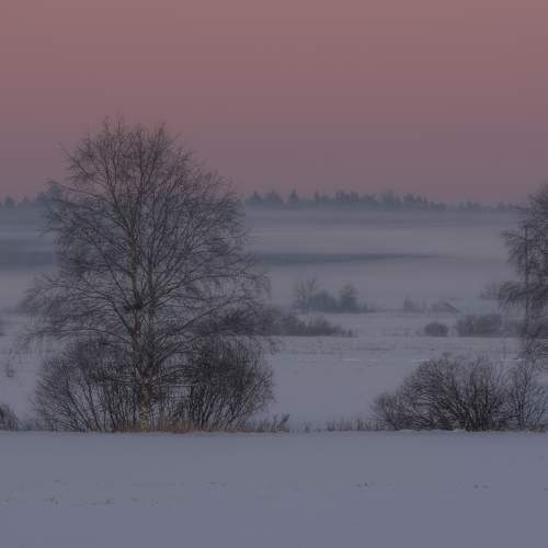 Photo #10135805
