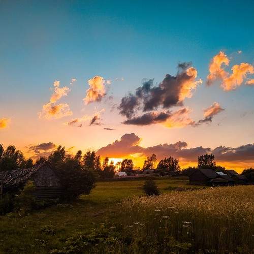 Photo #10136243