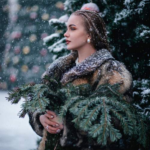 Photo #10136467