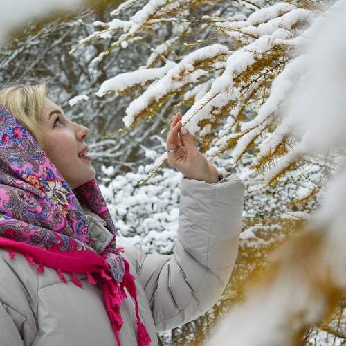 Photo #10136575