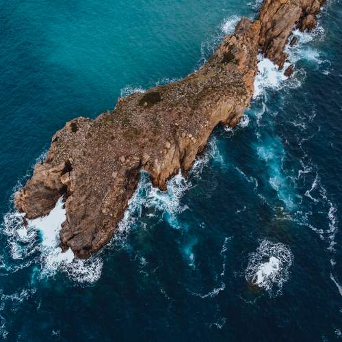 Photo #10136637