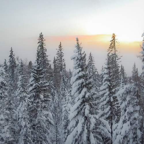 Photo #10136728