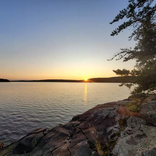 Photo #10136969
