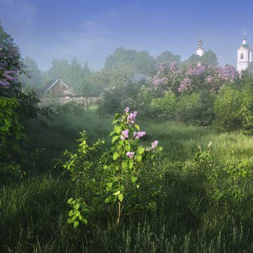 Photo #10137315