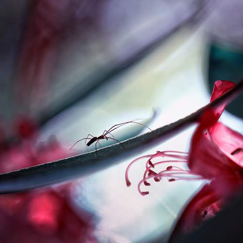 Photo #10137801