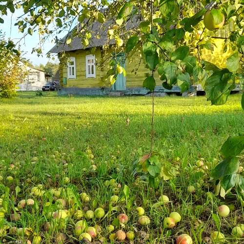 Photo #10138025