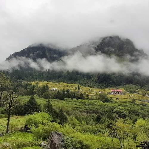 Photo #10138050