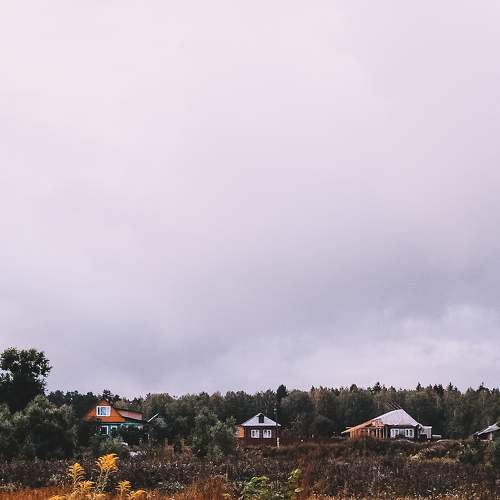 Photo #10138138