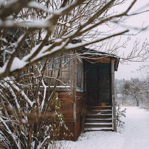 Photo #10138209