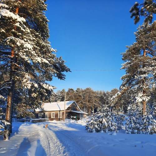 Photo #10138229