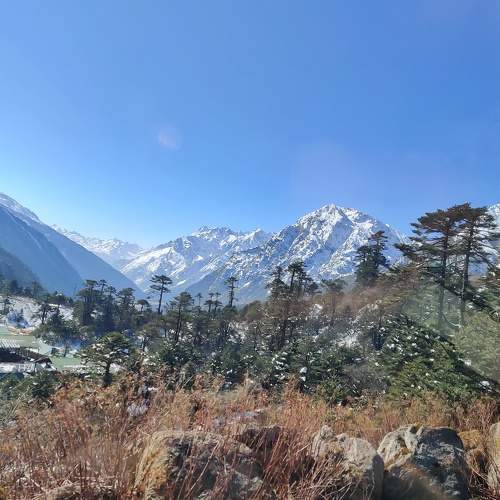 Photo #10138630