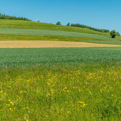 Photo #10138690