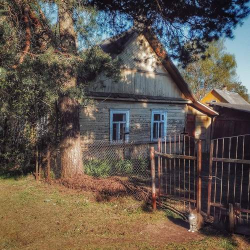 Photo #10138835
