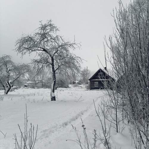 Photo #10138839