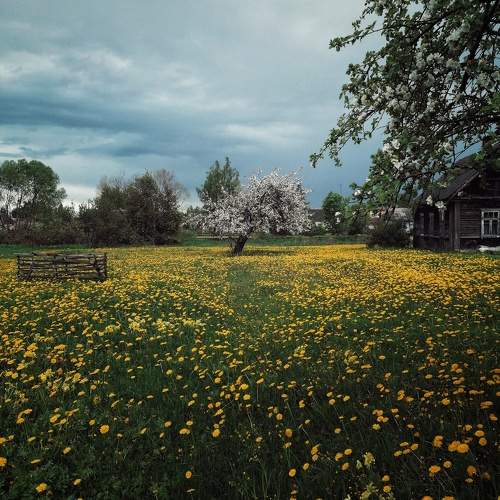Photo #10138850