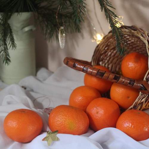 Photo #10139053