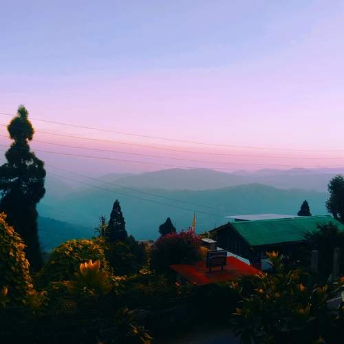 Photo #10139156