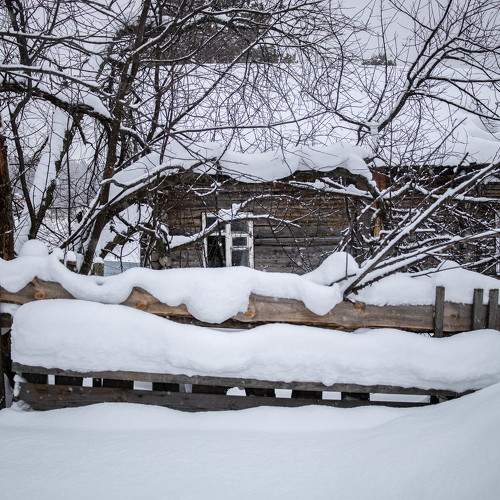 Photo #10139281
