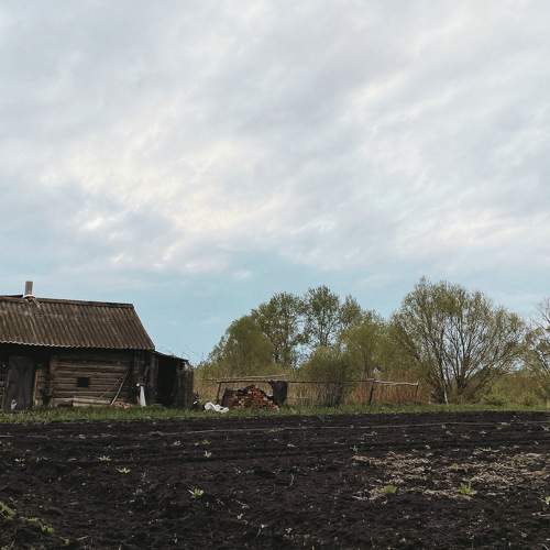 Photo #10139433
