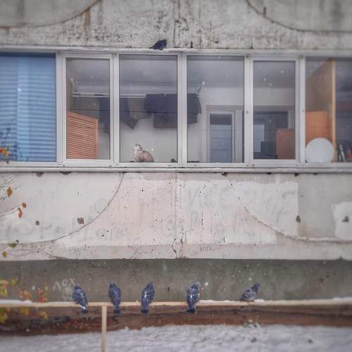 Photo #10139464