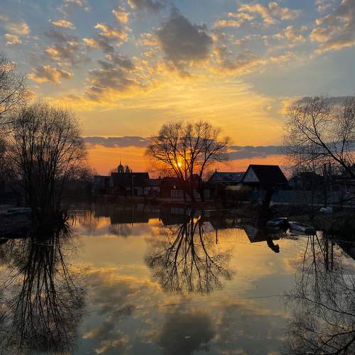 Photo #10139470