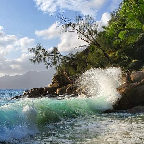 Photo #10139500