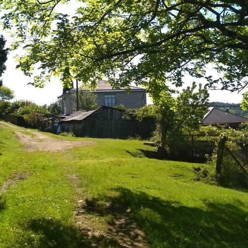 Photo #10139550