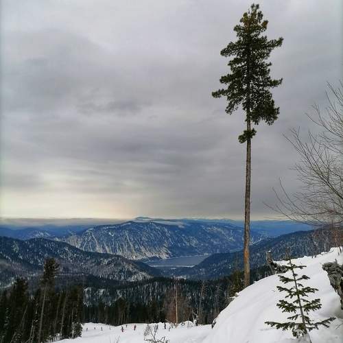 Photo #10139562