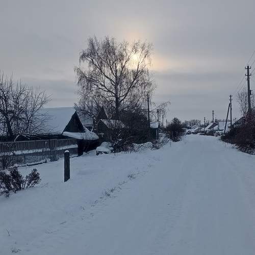 Photo #10139775
