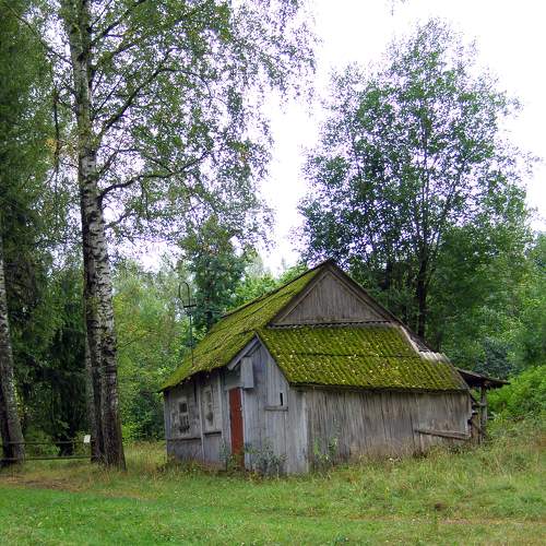 Photo #10139881